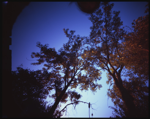 pinhole7