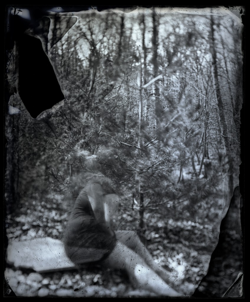 wet-plate collodion tintype, 2012